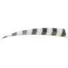 Bearpaw Feathers - Right Wing - 4