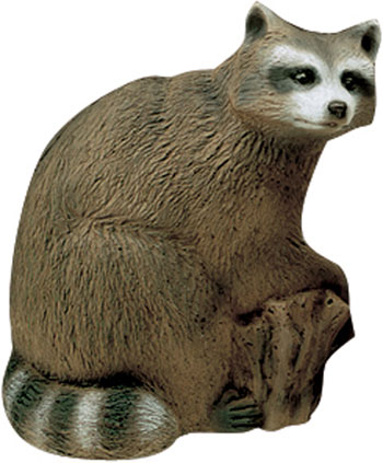 Delta Raccoon