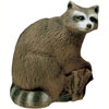 Delta Raccoon