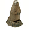 Delta Woodchuck
