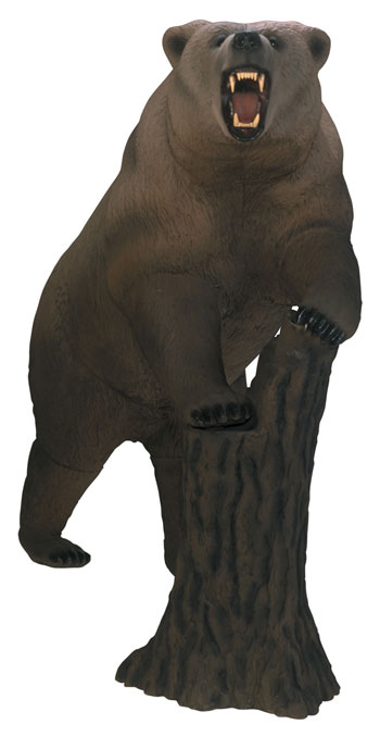 Delta Grizzly Bear