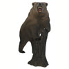 Delta Grizzly Bear