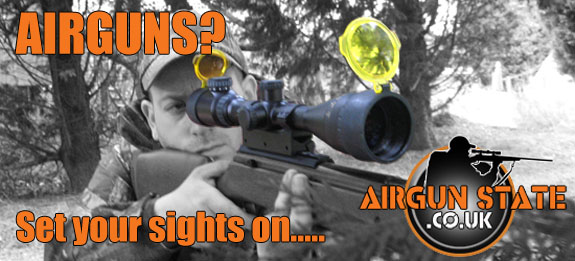 Airgun State Image