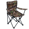 Deben Easy Chair