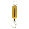 Merlin Compact Bow Scale
