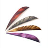 Feathers - 3
