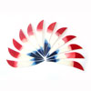 Feathers - 4