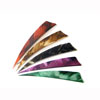 Feathers - 4