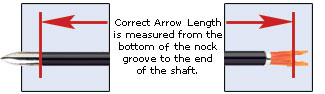 Arrow Measurement Guide