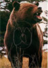 Martin Archery Target Face - MAT-1B BEAR