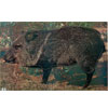 Martin Archery Target Face - MAT-2J JAVELINA