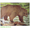 JVD Target Face - Bear - 80341
