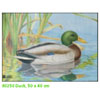 JVD Target Face - Duck - 80251