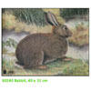 JVD Target Face - Rabbit - 80241