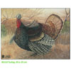 JVD Target Face - Turkey - 80311
