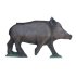Imago Semi 3D Medium Boar (Face Only)