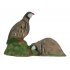Imago Semi 3D Double Partridge (Face Only)