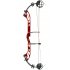 PSE Dominator Pro Hybrid Compound Bow *