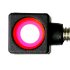 Beiter Sight Tunnel Inserts - 12mm - 5 Pack