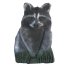 Imago Semi 3D Raccoon (Face Only)