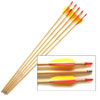 Leisure Arrows