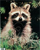 Martin Archery Target Face - MAT-4R RACOON