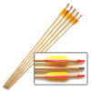 Wooden Trainer Arrows - 27